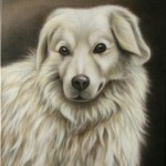 Hund, Airbrush Portrait, Gemälde