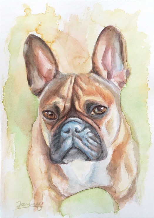 Momo, Französische Bulldogge, Aquarell Kunst Malerei
