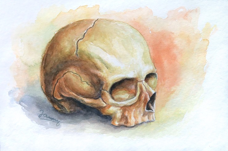 Skull 2, Aquarell Kunst Malerei Totenkopf