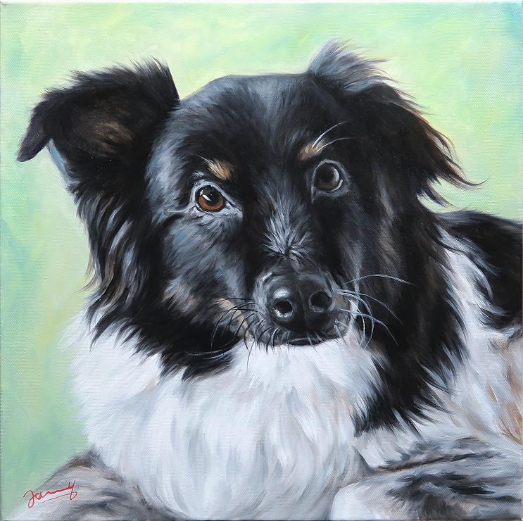 Hundebild Jester Gemälde Ölbild Portrait