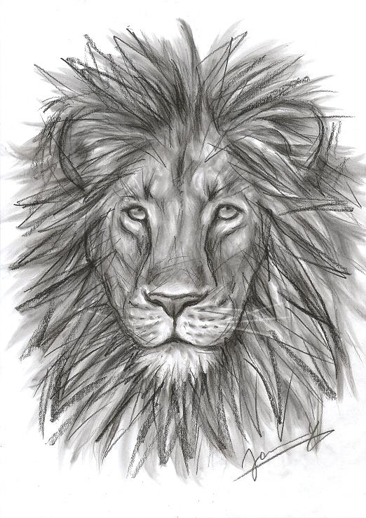 Löwe (9) Zeichnung Portrait Tierbild