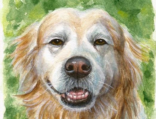 Hundebild Sammy Gemälde Aquarell Portrait