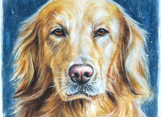 Hundebild Sunny Gemälde Aquarell Portrait