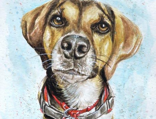 Hundebild Aquarell Portrait