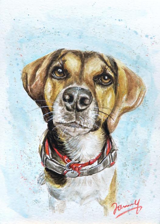 Hundebild Aquarell Portrait
