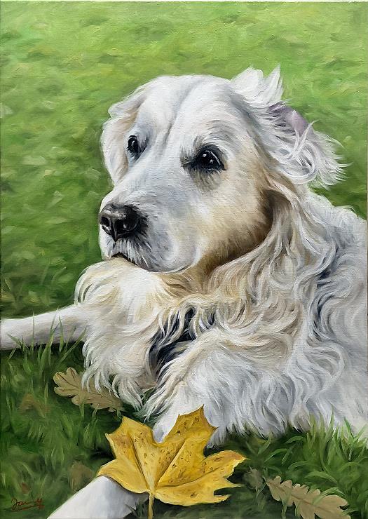 Hundebild Gemälde Ölbild Portrait