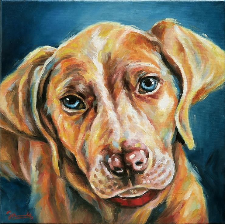 Hundebild Gemälde Ölbild Portrait Bruno