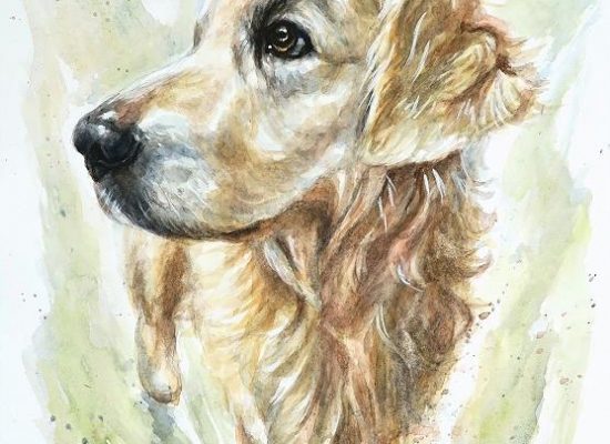 Aquarell Hund Fritz (2)