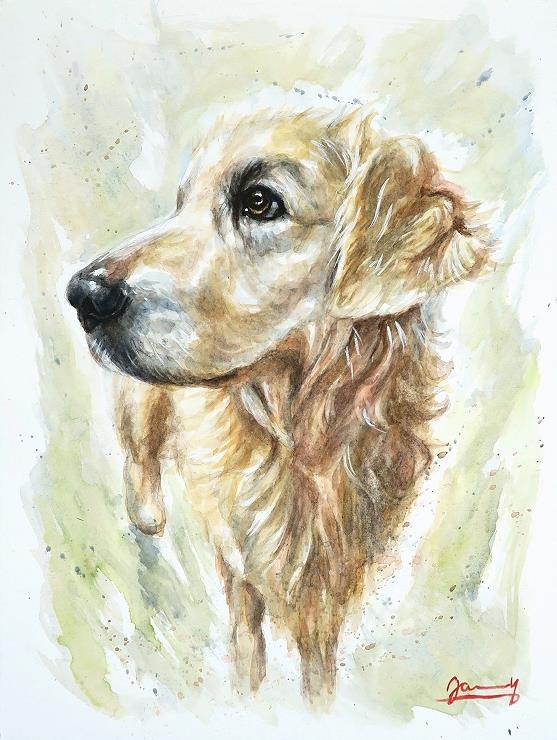 Aquarell Hund Fritz (2)