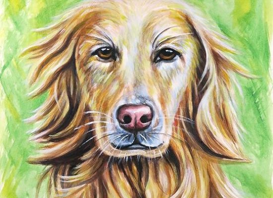 Hund Golden Retriever Gemälde
