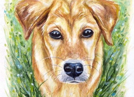 Aquarell Hund im Gras