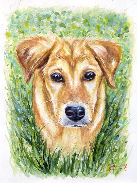Aquarell Hund im Gras