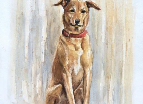 Aquarell Kunst Sitzender Hund