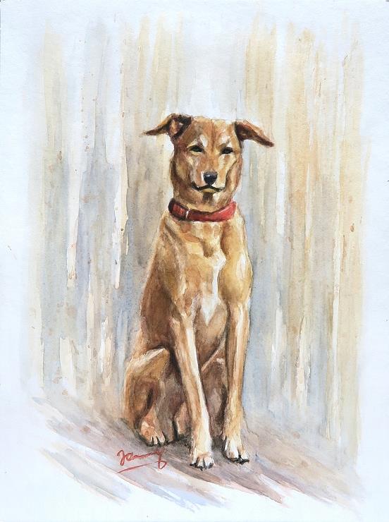 Sitzender Hund Aquarell Aquarell Kunst Sitzender Hund