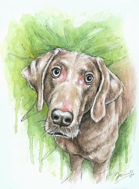 Aquarell Hund Portrait