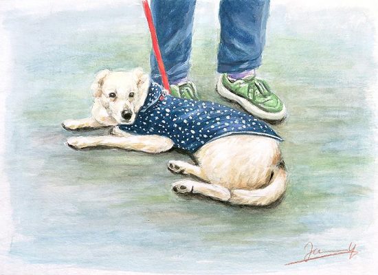 Hundeportrait Gouache Gemälde